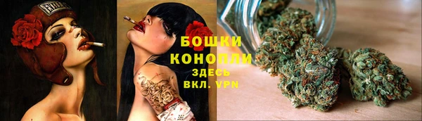 бошки Лагань