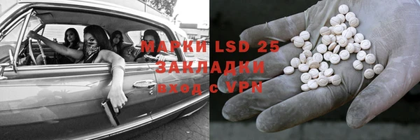 стаф Алексин
