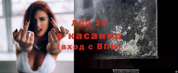 стаф Алексин