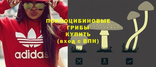 сатива Алексеевка